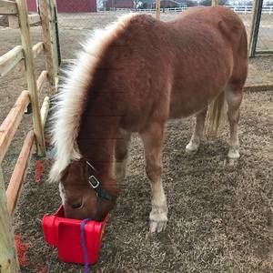 Meet your Posher, Lori